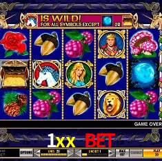 1xx bet Salvador - Bonus Stats